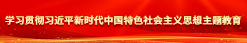 小日本尻屁视频学习贯彻习近平新时代中国特色社会主义思想主题教育